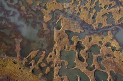 ​5路公交车路线详解