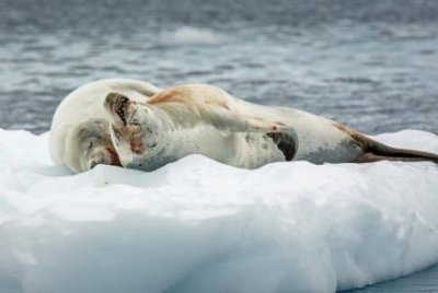 ​三亚哪个海滩适合一日游带你探秘三亚四大海湾的特色景点