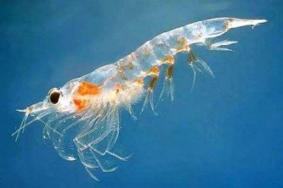 ​南宁市至云南腾冲自驾游云南腾冲自驾游最佳路线