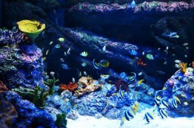 ​11月旅游去哪好11月旅游去哪里好