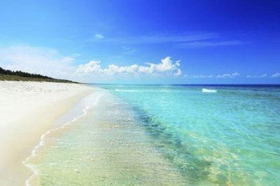 ​6英镑可以买到什么探寻6英镑的购物价值