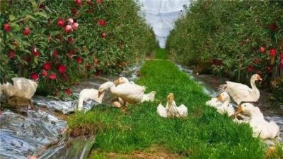 ​青岛几个风景区有哪些，青岛几个风景区叫什么