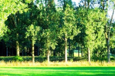 ​广州景区旅游景点有哪些地方玩转广州热门景点