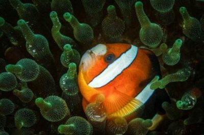 ​k527次列车k527次列车时刻表