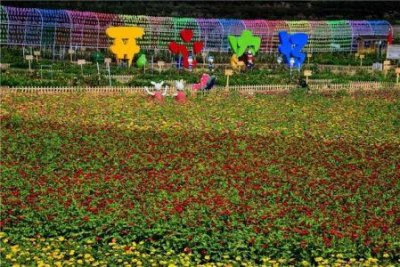 ​翔安772路公交车路线时间表