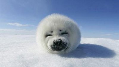 ​端午节绍兴高铁站附近景点推荐步行可达的必游之处