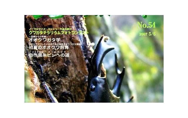 对的时间对的人 怎样表白才能成功率高