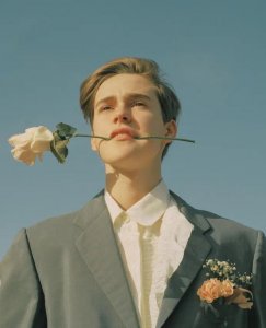 ​莫兰迪色——世界上最温柔最高级的颜色