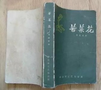 ​《苦菜花》：英雄母亲的故事，花开不败