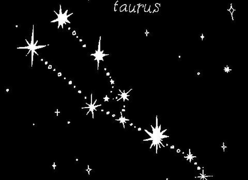 如果蜗牛有爱情电视剧(如果蜗牛有爱情第二部) 如果蜗牛有爱情电视剧(如果蜗牛有爱情第二部)