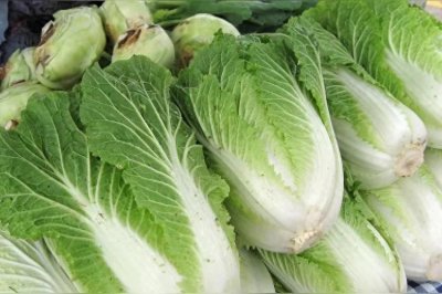 ​大雪时节，怎样吃出健康？哪些美食即暖身有养生！