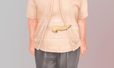 ​人体胰腺在什么位置