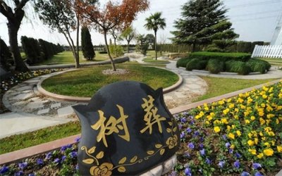 ​你知道什么是树葬吗？