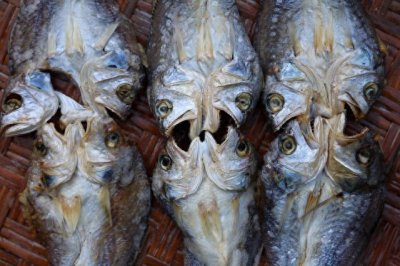 ​揭秘！暗藏情色交易，“咸鱼”变味了，屡禁不止！