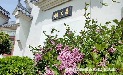 ​什么叫作喜丧？