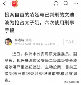 ​还原太子奶事件真相，李途纯再爆猛料，揭秘凌娅等人黑色交易内幕