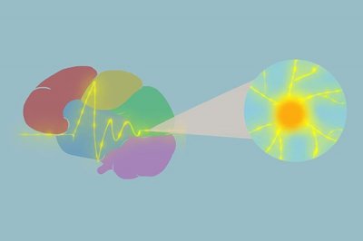 ​什么是胶质瘤？胶质瘤是良性还是恶性，该如何判断？文章告诉你