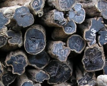 ​什么是东非黑黄檀（紫光檀）