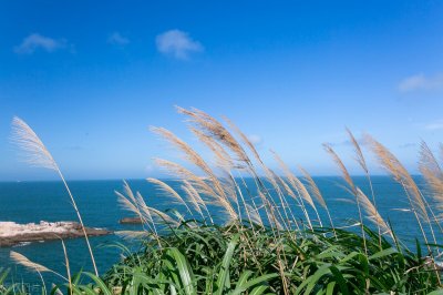 ​青浜岛，浮华尘世外的“海上布达拉宫”，去当几日快乐岛民