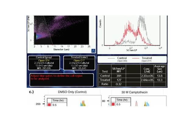 看不起农村人的,都是农村人自己,这一点,值得所有农村人深思 看不起农村人的,都是农村人自己,这一点,值得所有农村人深思