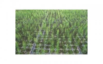 ​下一段恋情测试：眼神停留的部分，是阻止你遇见下一段恋情的原因