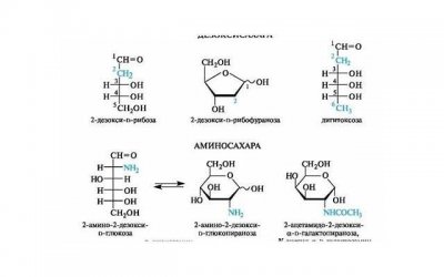 ​描写友谊的开头结尾(写友谊的开头结尾优美)