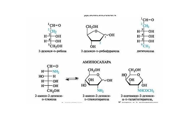 描写友谊的开头结尾(写友谊的开头结尾优美)