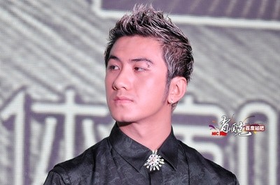 黄晓明？胡歌？吴奇隆？郭富城？林青霞？秦海璐？有”沟“必火