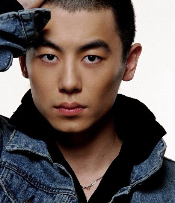 黄晓明？胡歌？吴奇隆？郭富城？林青霞？秦海璐？有”沟“必火