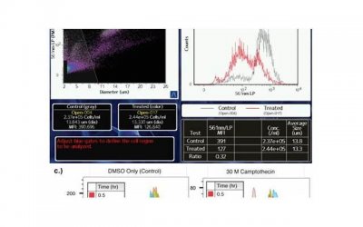 ​院里种棵木香花，2个月爬成一面花墙，开成花瀑布