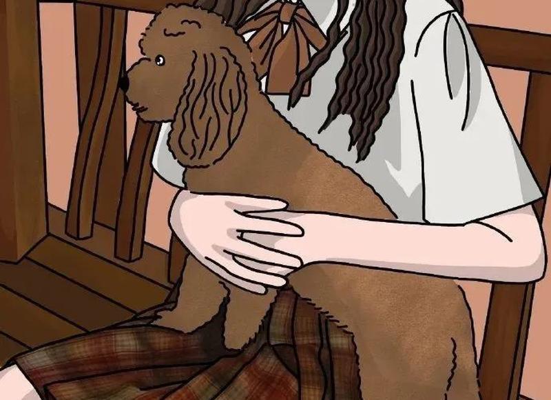 这款“蓝色”四季兰，仙气十足，很是养眼，带你来看看