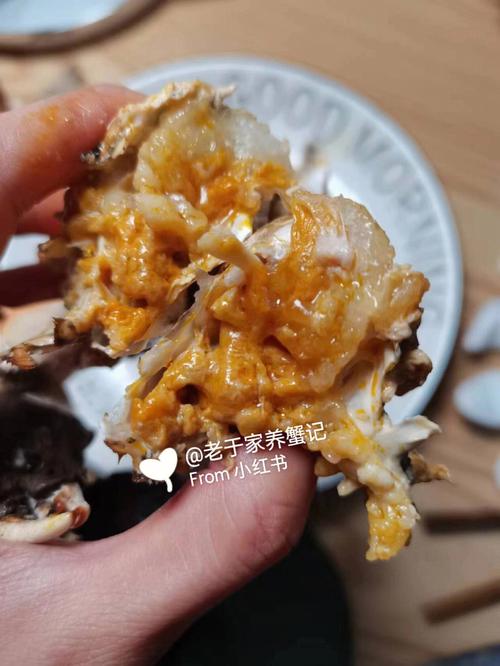 已经死掉的螃蟹能吃吗（为什么死掉螃蟹不能吃）