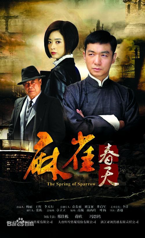 飞虎神鹰大结局怎么养（8部谍战题材的内地电视剧）