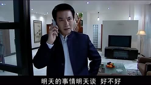 黑社会老大电视剧(中国评分最高10部扫黑剧)