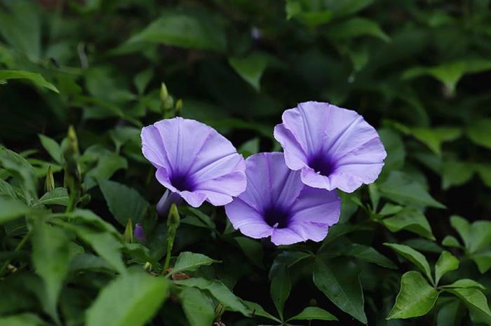 没有挽回不了的感情（判断一段感情能不能挽回）