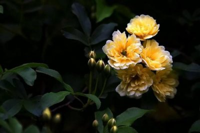 ​没有挽回不了的感情（判断一段感情能不能挽回）