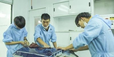 ​初中男孩学什么技术最吃香，初中男孩想学技术，学什么好？