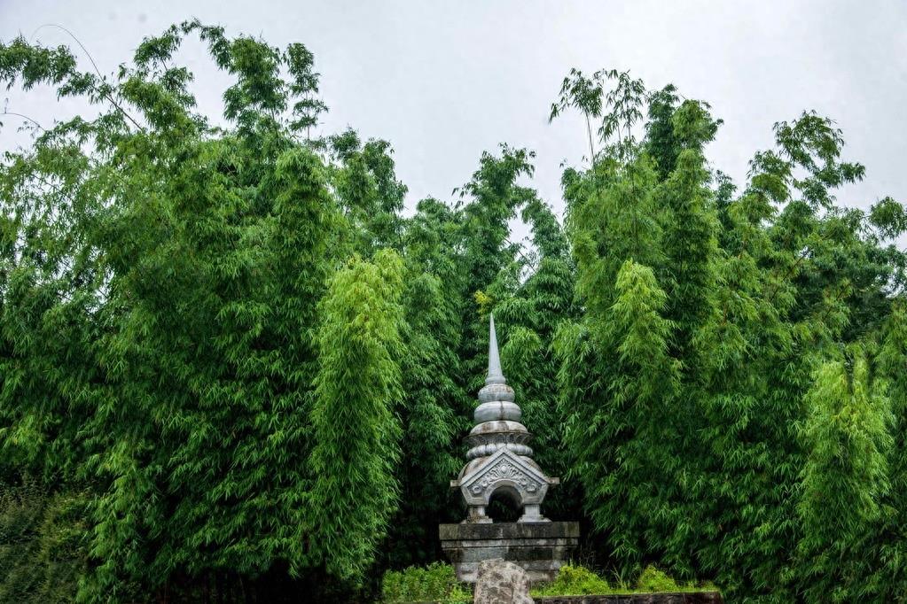 龙塔于2000年建成开放，塔高336米，为亚洲第一、世界第二高钢塔