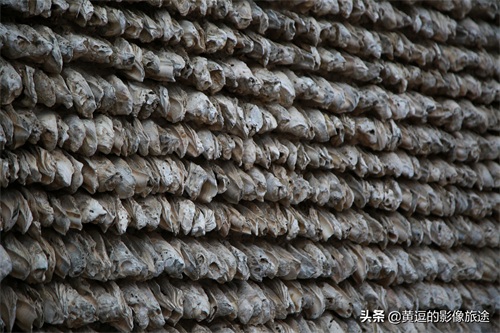 广东明清古镇藏神秘古“蚝宅”！数万蚝壳鳞次栉比引爆密集恐惧