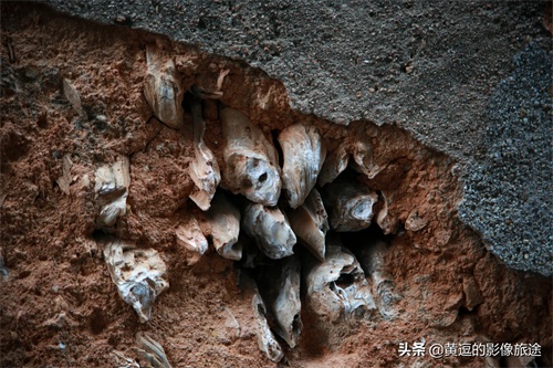 广东明清古镇藏神秘古“蚝宅”！数万蚝壳鳞次栉比引爆密集恐惧