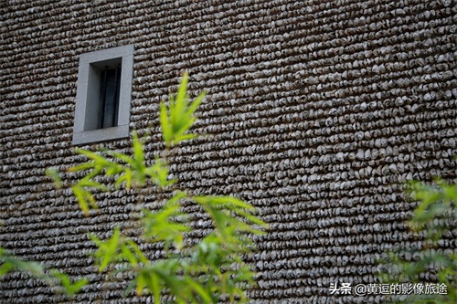 广东明清古镇藏神秘古“蚝宅”！数万蚝壳鳞次栉比引爆密集恐惧