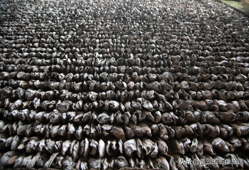 广东明清古镇藏神秘古“蚝宅”！数万蚝壳鳞次栉比引爆密集恐惧