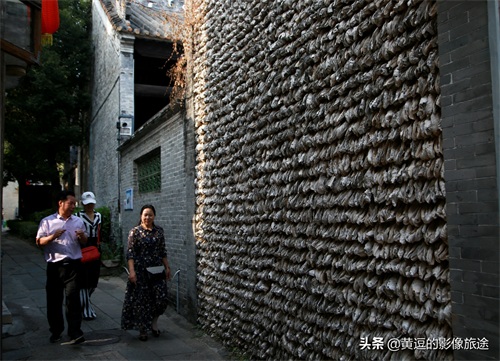 广东明清古镇藏神秘古“蚝宅”！数万蚝壳鳞次栉比引爆密集恐惧