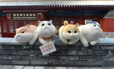 ​故宫现巨型御猫，肥肥的让游客忍不住想撸