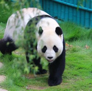 ​自然探秘所｜走进西霞口神雕山野生动物世界