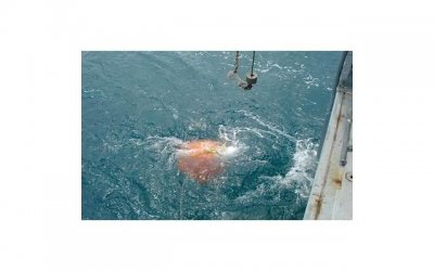 ​孩子自创“象形文字”？父亲看到后被气得语无伦次..