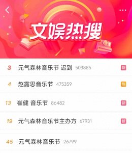 ​元气森林音乐节“翻车现场”：崔健被掐麦，赵露思背锅