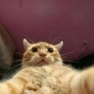 ​又到毕业季，这些最靓毕业照拍照姿势你打卡了吗？