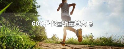 ​600千卡运动量算大吗