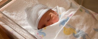 ​吞金兽是什么意思啊